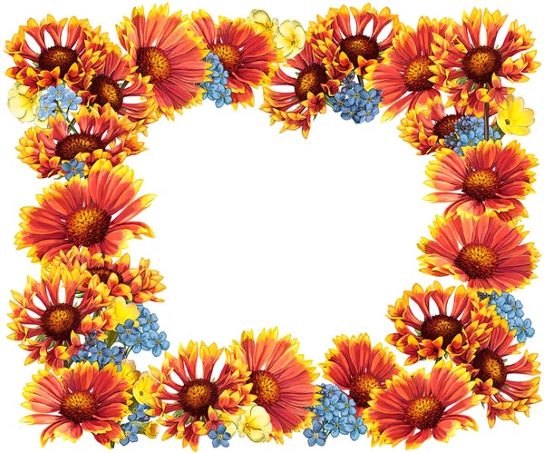 Orangefarbene Blumen quadratischer Rahmen — Stockfoto