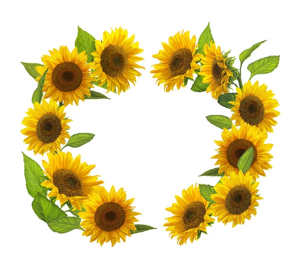 Cartoon-Rahmen mit Sonnenblumen — Stockfoto