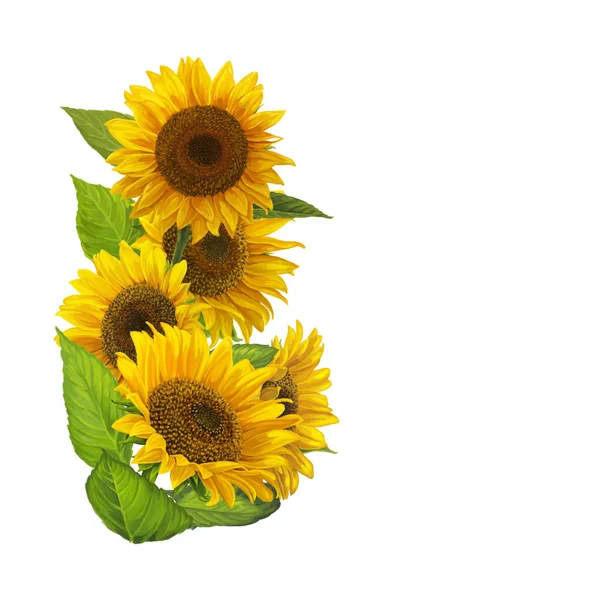 Cartoon border with sunflowers — Stock Photo, Image