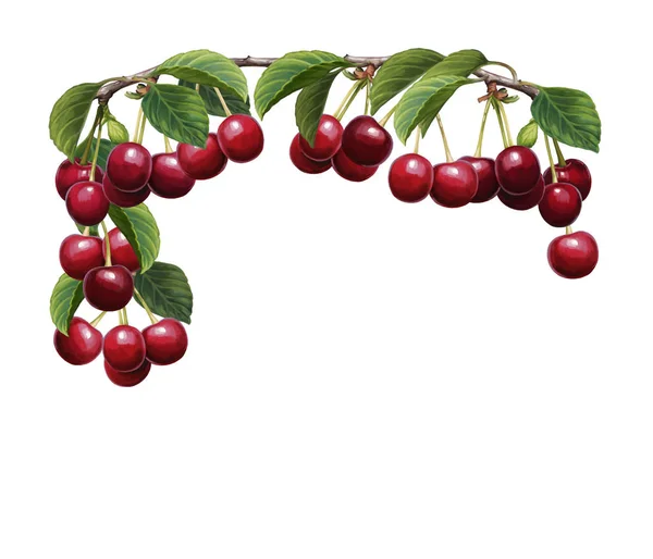 Colorful cherries frame — Stock Photo, Image