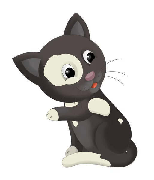 Boldog macska rajzfilm — Stock Fotó
