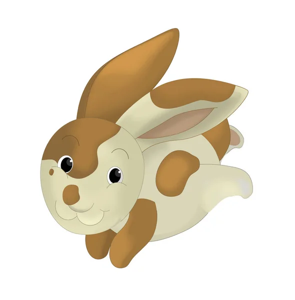 Dibujos animados feliz conejo corriendo y saltando —  Fotos de Stock