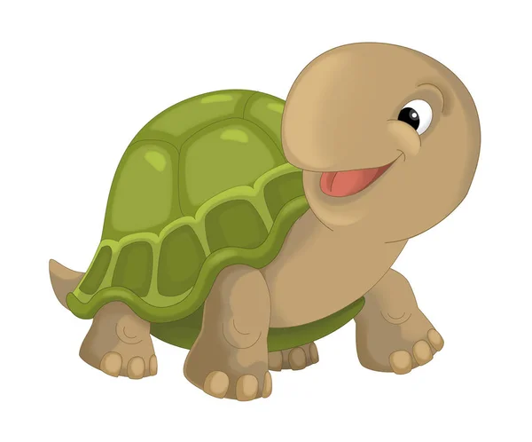 cartoon happy smiling turtle standing and looking