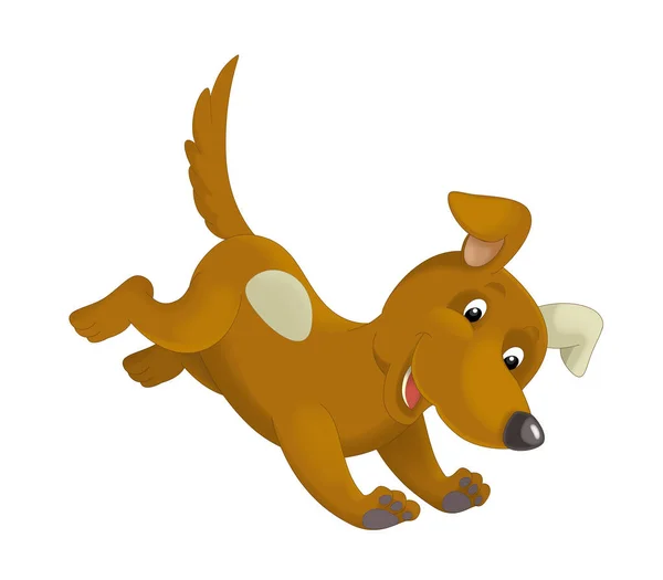 Desenhos animados cão feliz — Fotografia de Stock