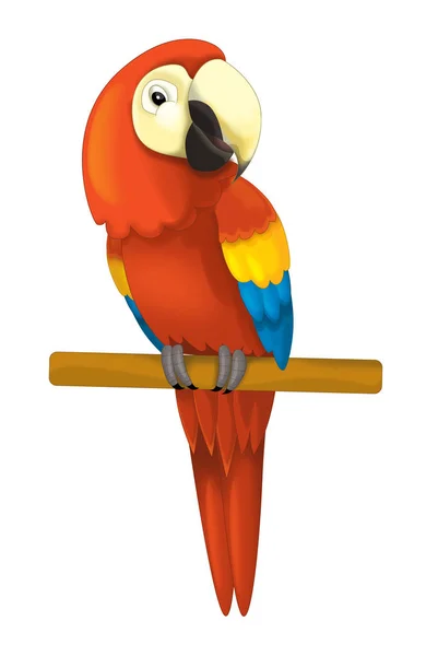 Papuga siedzi patrząc i odpoczynku — Zdjęcie stockowe