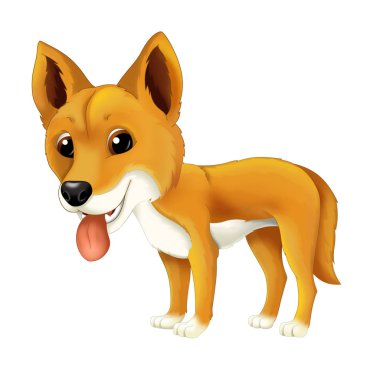 mutlu ve komik dingo köpek