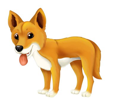 mutlu ve komik dingo köpek