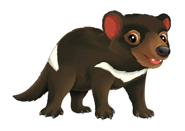 Happy and funny tasmanian devil — Stock Photo, Image