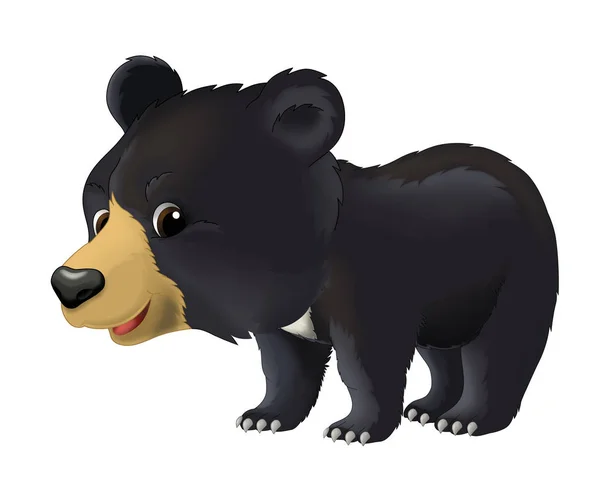 Bonito oso de dibujos animados — Foto de Stock