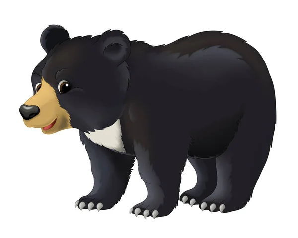 Roztomilý kreslený medvěd — Stock fotografie