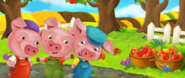 Cartoon funny three pigs — Stock Photo, Image