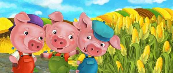 Desenhos animados engraçado três porcos — Fotografia de Stock