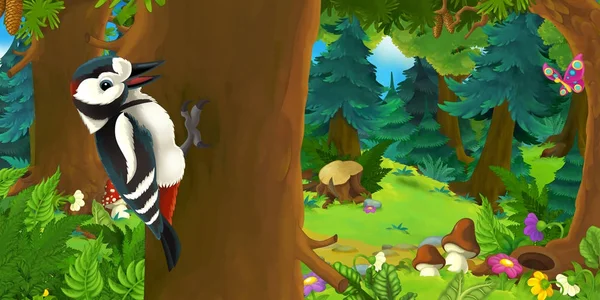 cartoon scene with happy and funny woodpecker   in the forest - illustration for children