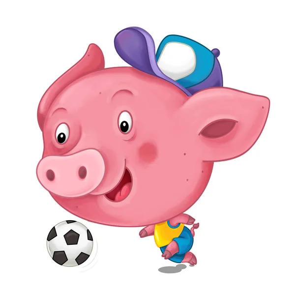 Kreskówki Gry Piłkę Nożną Białym Tle Młoda Świnia — Zdjęcie stockowe