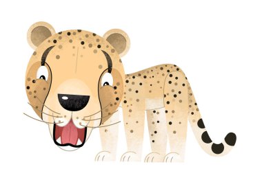 cartoon scene with cheetah on white background - illustration for children clipart