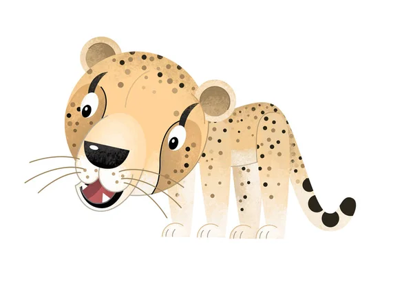 Cartoon scene with cheetah on white background - illustration for children — Stock Photo, Image