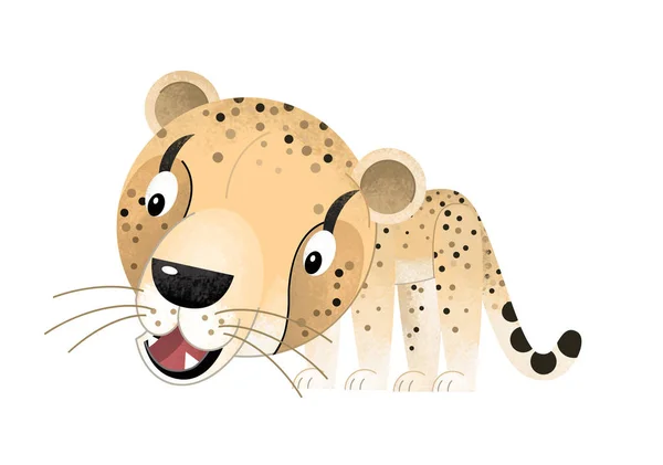 Cartoon scene with cheetah on white background - illustration for children — Stock Photo, Image