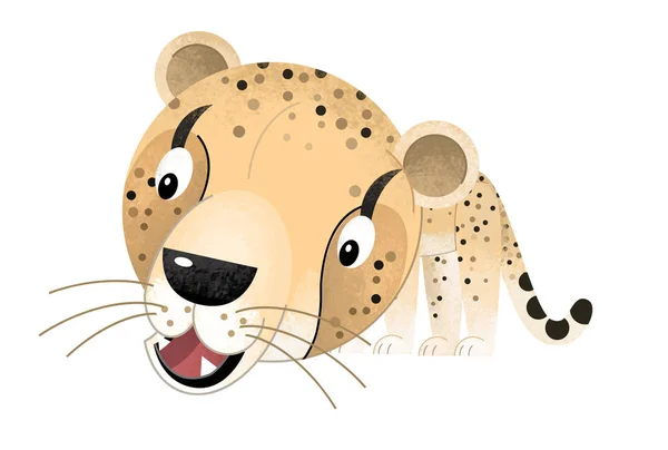 Escena de dibujos animados con guepardo sobre fondo blanco - ilustración para niños — Foto de Stock