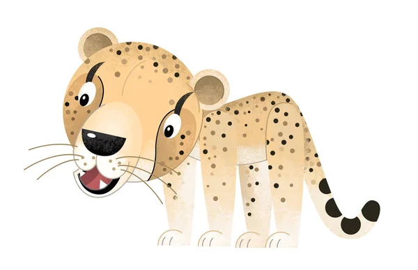 Cartoon scene with cheetah on white background - illustration for children — Stock Photo, Image