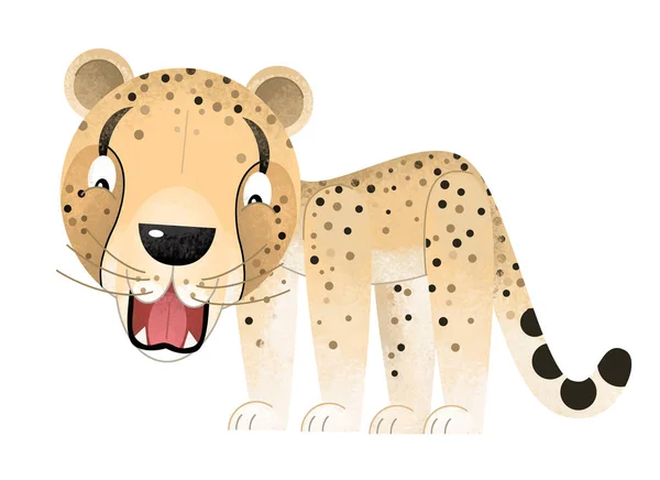 Cartoon scene with cheetah on white background - illustration for children — Stock Photo, Image