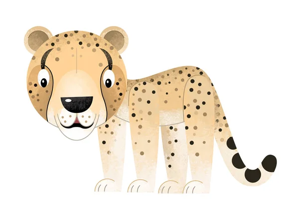 Cartoon scene with cheetah on white background - illustration for children — Stock Photo, Image