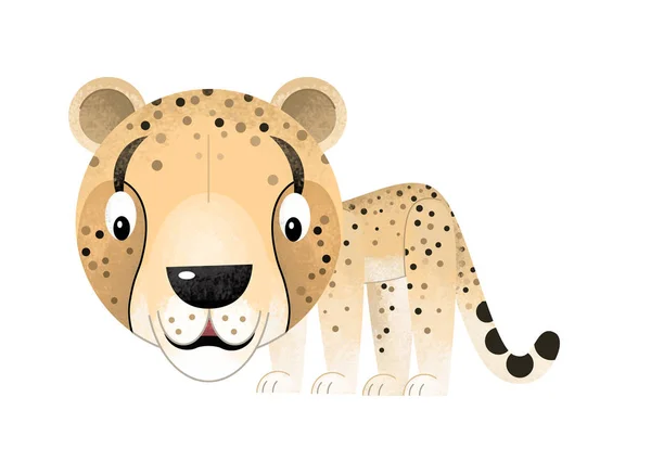 Escena de dibujos animados con guepardo sobre fondo blanco - ilustración para niños —  Fotos de Stock