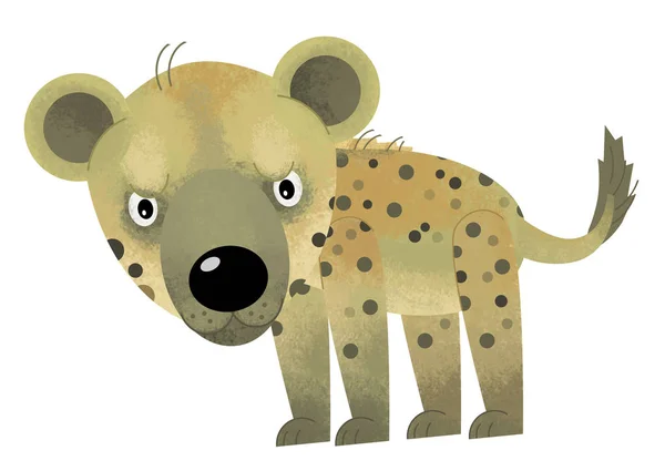 Cartoon scene with hyena on white background - illustration for children — Stock Photo, Image