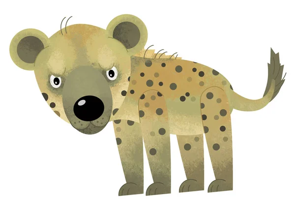 Escena de dibujos animados con hiena sobre fondo blanco - ilustración para niños — Foto de Stock