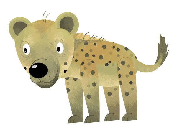 Adegan kartun dengan hyena pada latar belakang putih - ilustrasi untuk anak-anak — Stok Foto