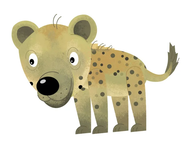 Cartoon scene with hyena on white background - illustration for children — Stock Photo, Image