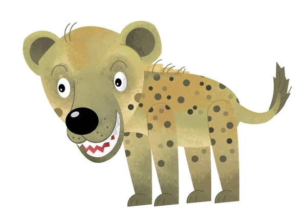 Scène de dessin animé avec hyène sur fond blanc - illustration pour enfants — Photo