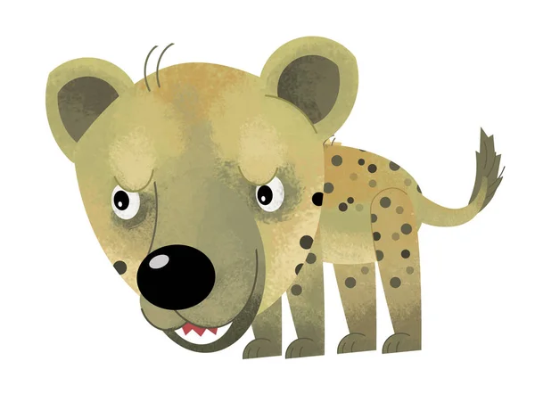 Cartoon scene with hyena on white background - illustration for children — Stock Photo, Image