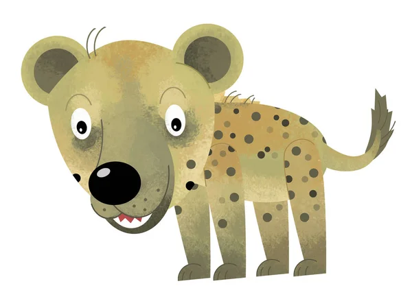 Cartoon scene with hyena on white background - illustration for children — Stock Photo, Image