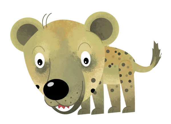 Cartoon scene with hyena on white background - illustration for children — Stock Photo, Image