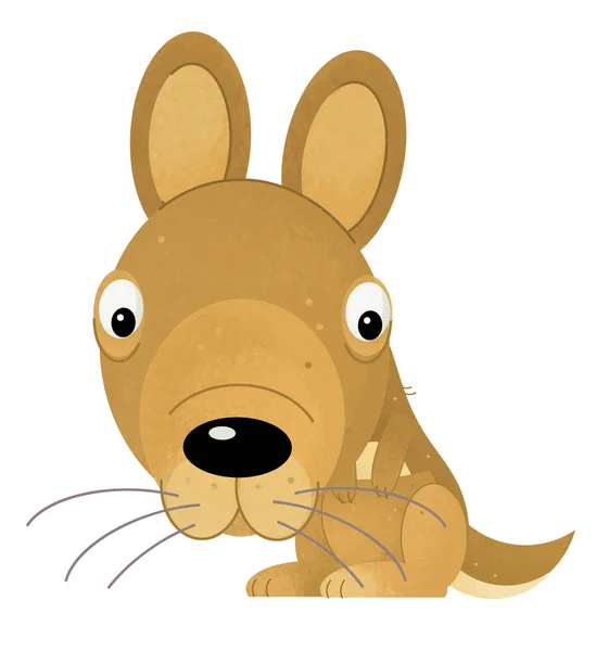 Cartoon scene with happy and funny kangaroo on white background - illustration for children — Stock Photo, Image