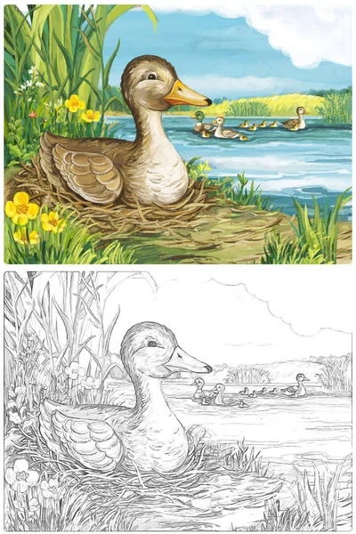 卡通片快乐有趣的农场场景与快乐的小鸟鸭素描本儿童图解 — 图库照片