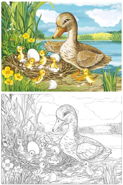 卡通片快乐而有趣的农场场景与快乐的小鸟鸭子素描本儿童图解 — 图库照片