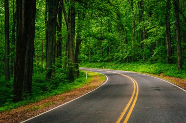 Ormanda, Shenandoah Ulusal p Skyline sürücü eğri