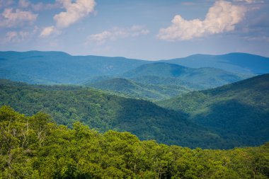 Blue Ridge, Skyline Drive, Shenandoah Marnixkade katmanları