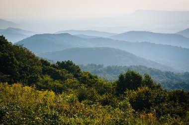Blue Ridge, Skyline Drive, Shenandoah Marnixkade katmanları