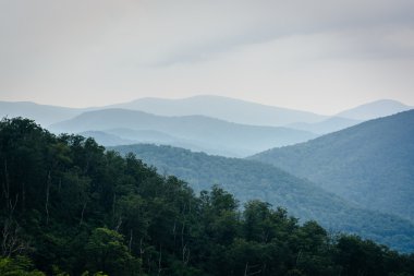 Shenandoah milli parkta, Virg gördüm Blue Ridge katmanları