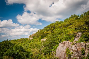 Kaya outcroppings Kuzey Marhsall dağ, Shenandoah Nati üzerinde
