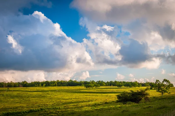 Üzerinde büyük Meadows, Shenandoah Milli Parkı'nda güzel bulutlar, — Stok fotoğraf