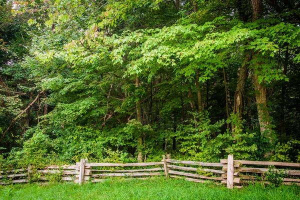 Cerca y árboles en Pass Mountain Overlook, en Shenandoah Nationa — Foto de Stock