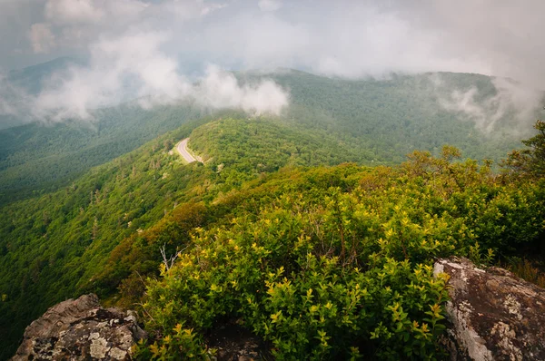 Mlha nad blue ridge hory, z malé kamenné muž cl — Stock fotografie