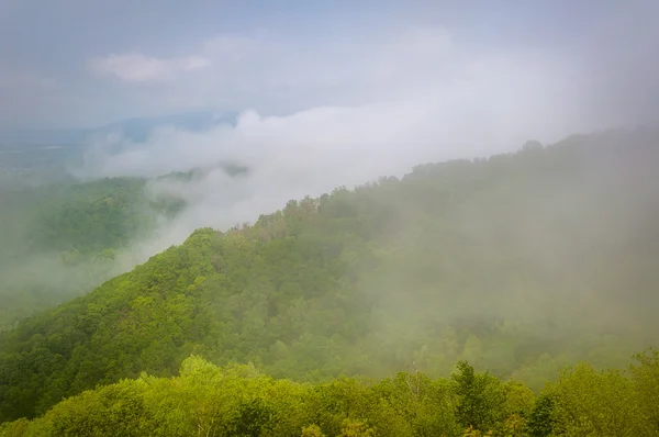 Mlha na jaře pohled na Blue Ridge v Shenandoah National Park, — Stock fotografie