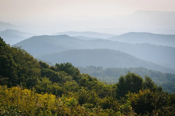 Camadas da Blue Ridge, vistas de Skyline Drive, em Shenandoah — Fotografia de Stock