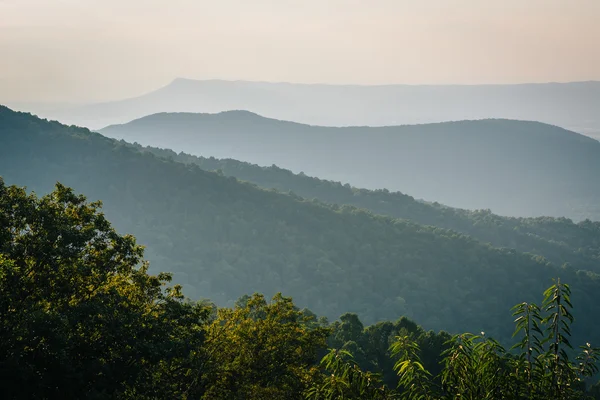 Vrstvy z Blue Ridge, pohledu ze Skyline Drive, v Shenandoah — Stock fotografie