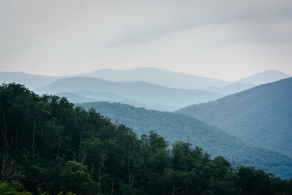 Layers of the Blue Ridge, seen in Shenandoah National Park, Virg — Stock Photo, Image
