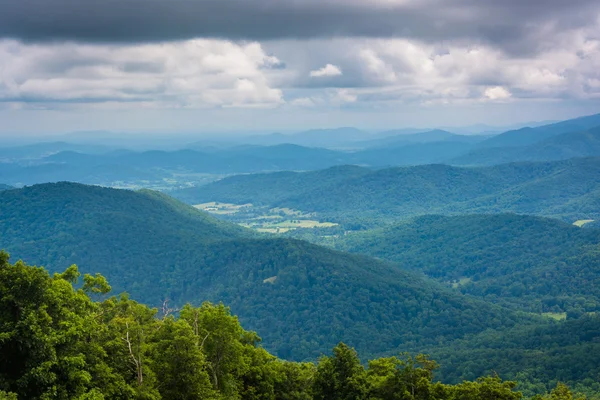 Layers of the Blue Ridge Mountains, seen from Skyline Drive in S — Stock Photo, Image